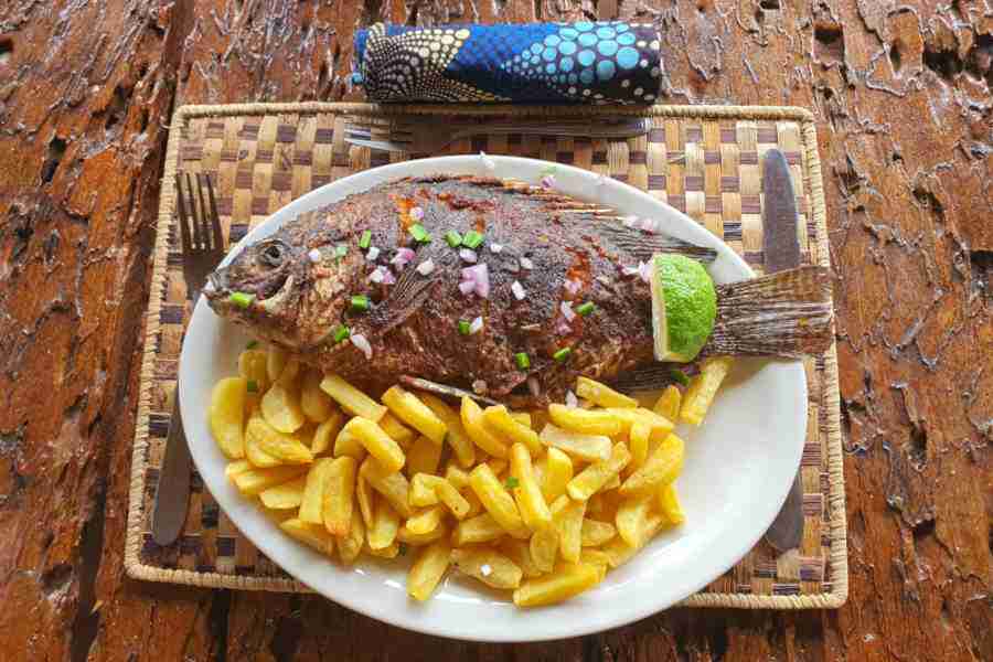 Tilapia Fish
